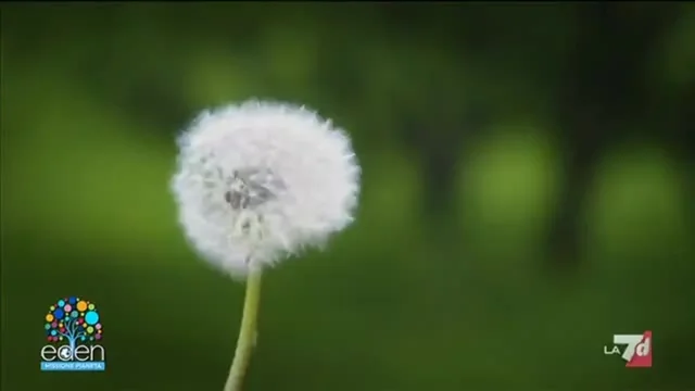 Eden - Missione Pianeta