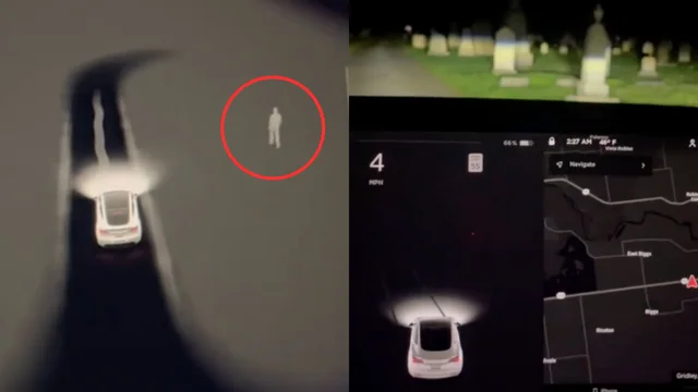 Tesla segnala fantasma al cimitero: rileva persone ma non c'è nessuno: il web impazza