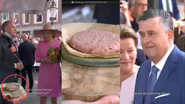 Il Re D'Olanda vuole assaggiare la carne sintetica "è cruda!"