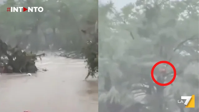 Tragedia in Texas, il fiume Guadalupe si alza di 8 metri: 24 morti e 20 dispersi, ci sono anche bambini