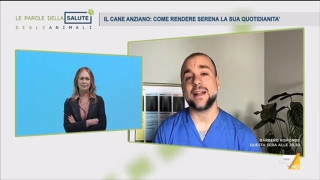 IL CANE ANZIANO: COME RENDERE SERENA LA SUA QUOTIDIANITA’