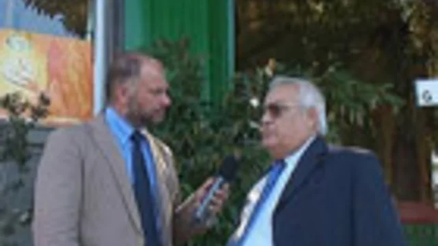 Reggio Calabria, viaggio nel comune smantellato