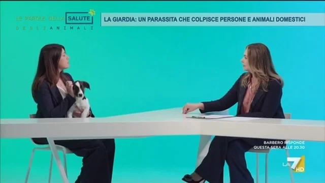 LA GIARDIA: UN PARASSITA CHE COLPISCE PERSONE E ANIMALI