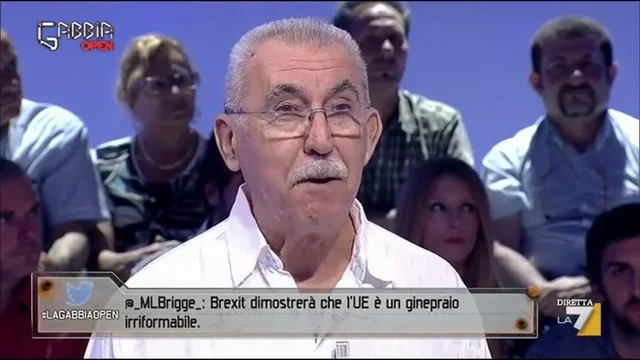 Giulietto Chiesa: 'USA vogliono Europa debole, Putin no'