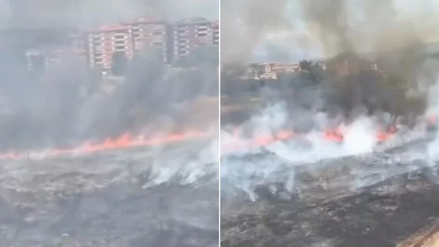 Incendio a Cinecittà (Roma), le fiamme si avvicinano agli edifici: le immagini diffuse sui social