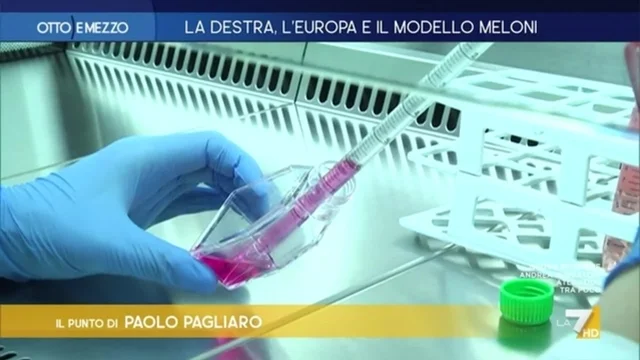 Cosa ci ha insegnato il Covid