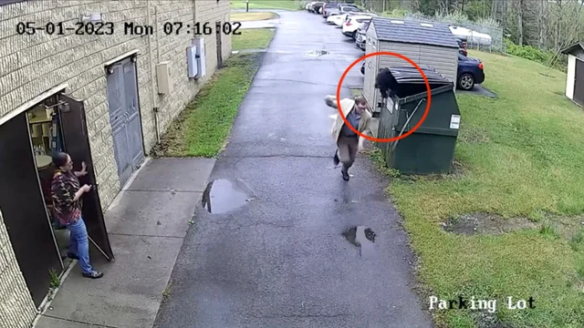 L'orso sbuca dal cassonetto della spazzatura e terrorizza l'uomo: le immagini virali