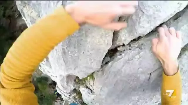 L'Aria Che Tira (r)