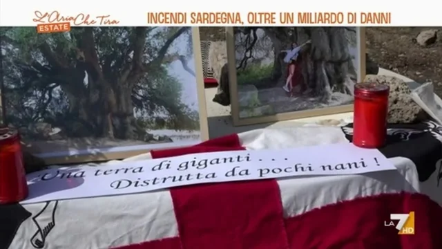 Incendi in Sardegna, oltre un miliardo di danni