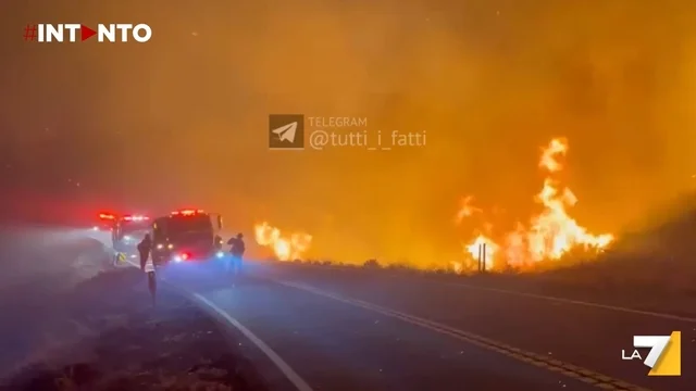 Grave incendio in California: il “Wolf Fire” devasta oltre 240 ettari