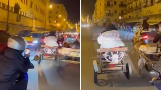 Palermo, la corsa shock clandestina di pony: il calesse si schianta contro un’auto