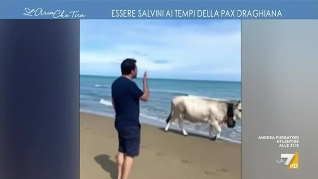 'Bacioni alle mucche', essere Salvini ai tempi della pax draghiana