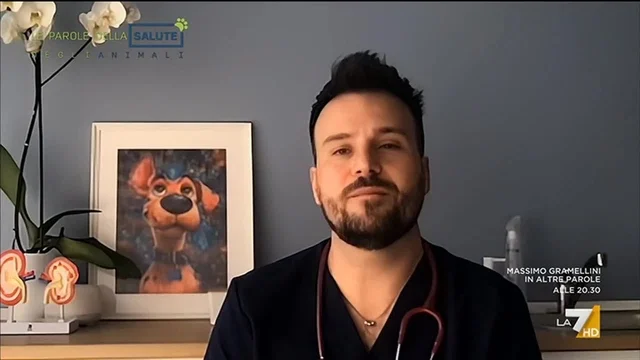Consigli pratici per viaggiare con il cane