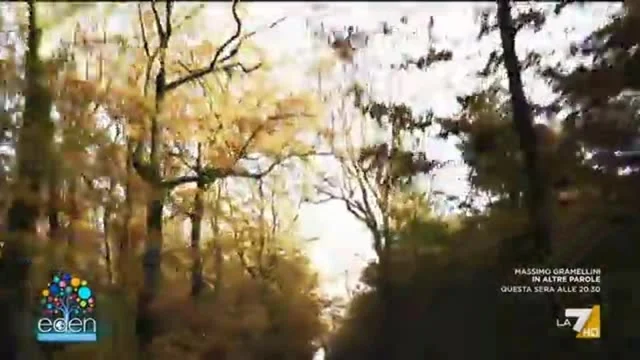 Eden - BEST