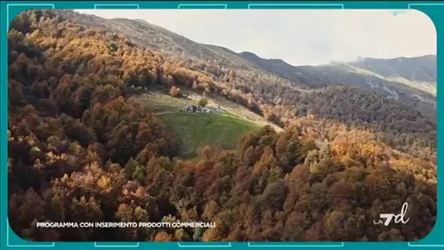 LIKE, tutto ciò che piace