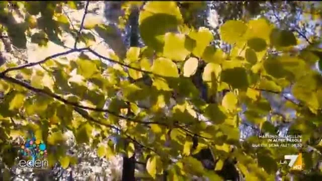 Eden - Un pianeta da salvare
