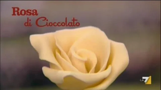 Rosa di cioccolato