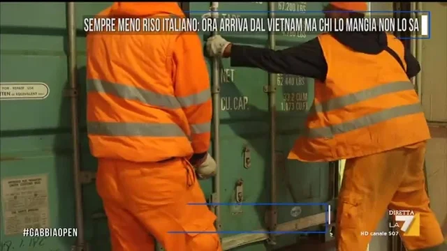 Sempre meno riso italiano: arriva dal Vietnam ma chi lo mangia non lo sa