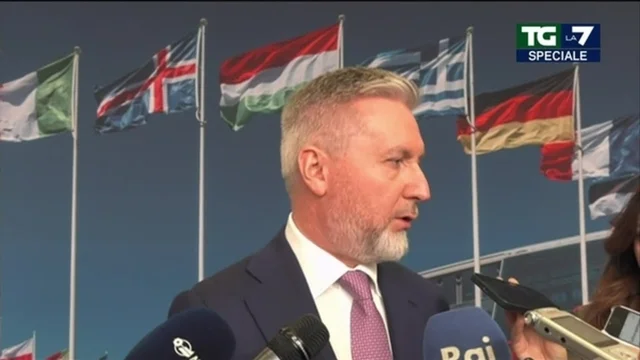 Ucraina, il ministro Guerini: "No-fly zone è troppo rischiosa, porterebbe al coinvolgimento della NATO nel conflitto"