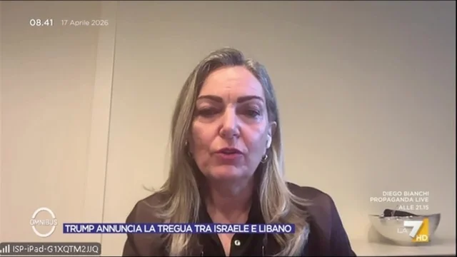 Zappia: "Una coalizione per lo Stretto di Hormuz, ma servono mandato e via diplomatica"