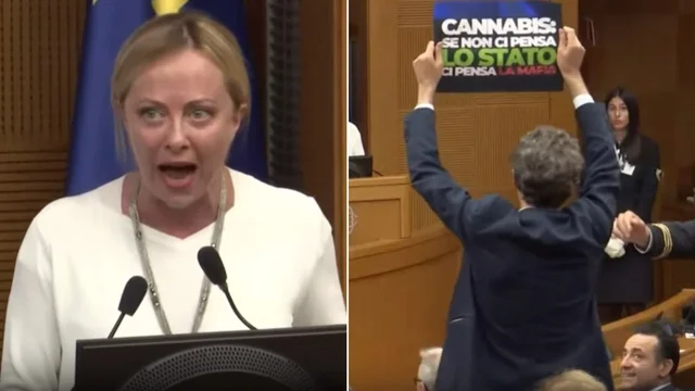 Droghe, Meloni: "Fumati una canna non sarà mai la mia politica". Poi lo scontro con Magi: "Non mi faccio intimidire"
