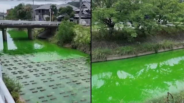 Fenomeno sorprendente, un fiume diventa verde fluorescente: le immagini