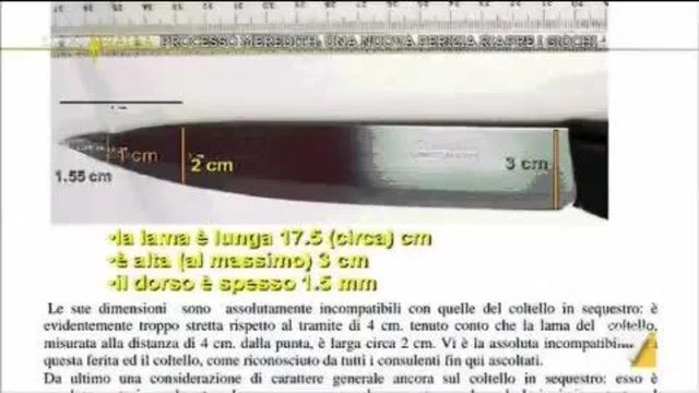 Omicidio Meredith: le nuove prove, indizi e dubbi