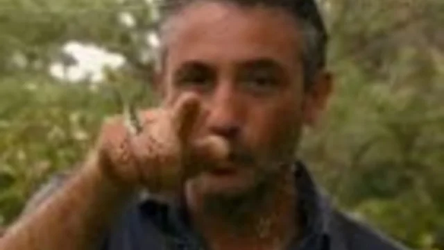 ALLA RICERCA DELLE IENE