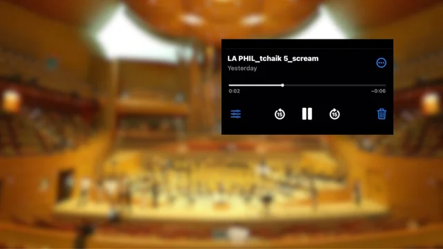 Una donna ha avuto un orgasmo durante la quinta sinfonia di Tchaikovsky