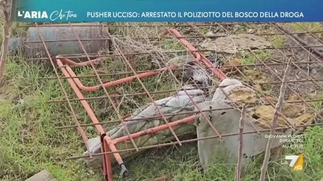Pusher ucciso: arrestato il poliziotto del bosco della droga