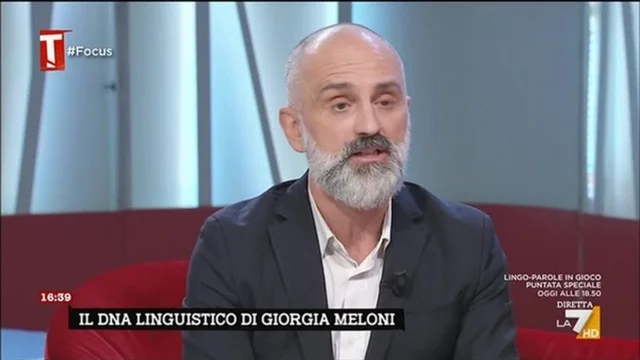 Taga Focus - 14/11/2022