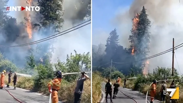 Nuovo incendio a Roma: fiamme tra Fiumicino e il quadrante nord-ovest