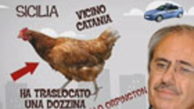Le galline di don Raffaele