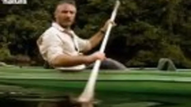 ALLA RICERCA DELLO SQUALO ZAMBESI