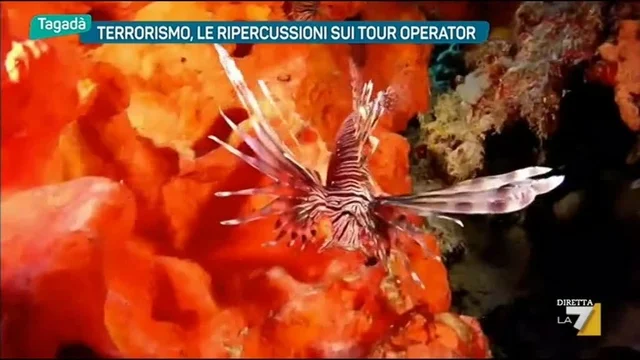 Terrorismo, le ripercussioni sui Tour Operator