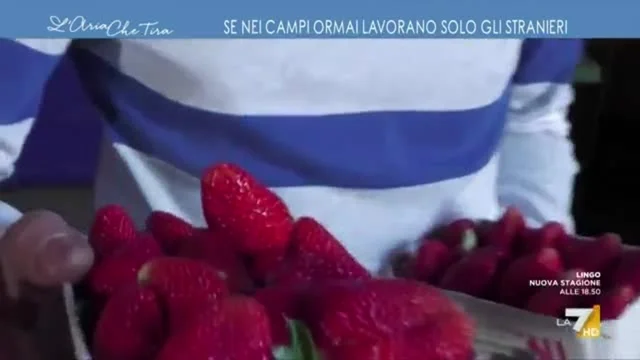 Se nei campi ormai lavorano solo gli stranieri