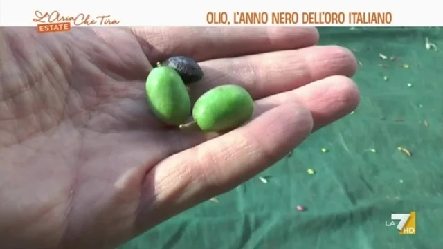 Olio, l'anno nero dell'oro italiano