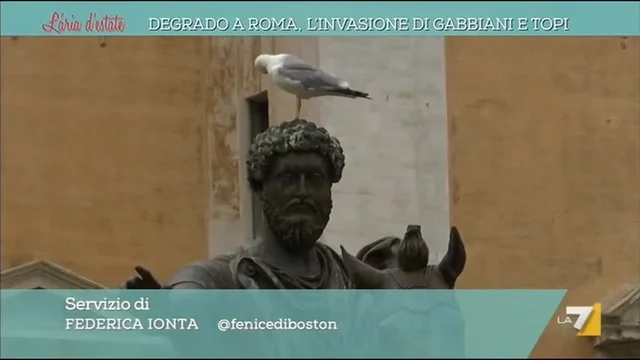 Degrado a Roma, l'invasione di gabbiani e topi