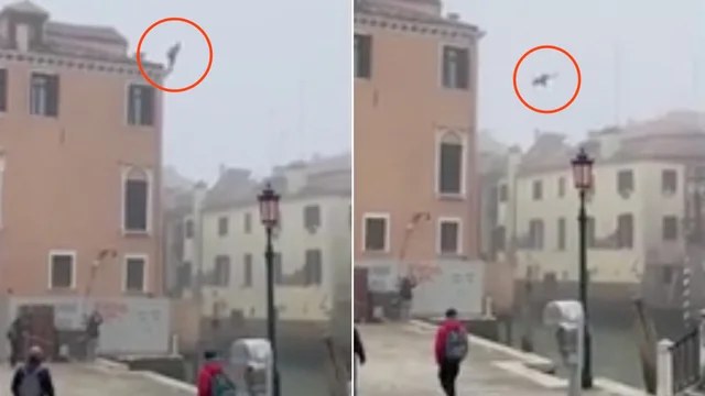 Venezia, tuffo shock in acqua dal tetto di un palazzo di tre piani