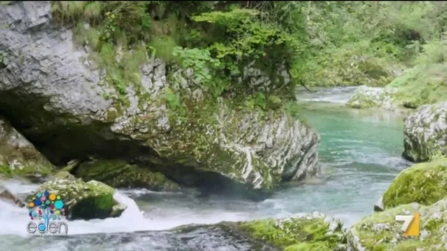 Slovenia - La gola di Vintgar