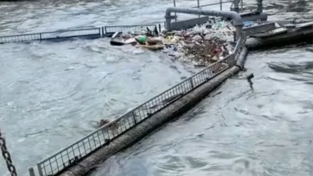 Olimpiadi di Parigi 2024, la Senna è pronta? Le condizioni del fiume e i dubbi degli atleti