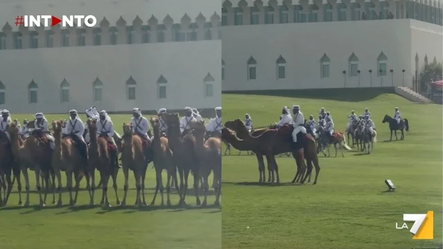 Trump accolto in Qatar da una scorta di cammelli