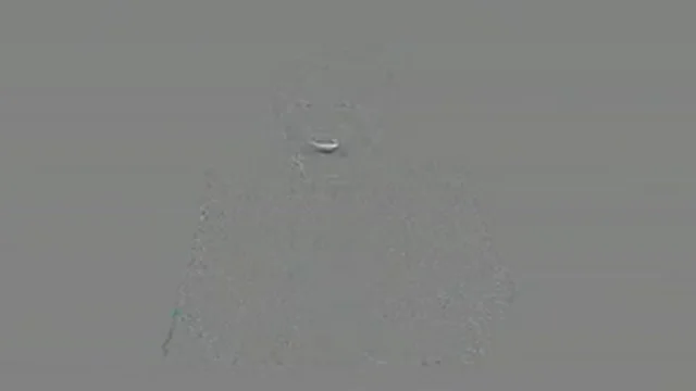 TG LA7