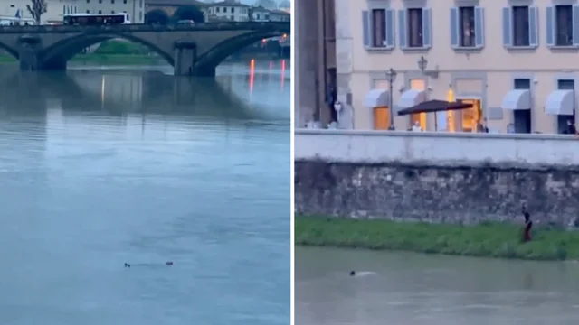 Firenze, turista cade nell'Arno: il gesto eroico di un passante che sventa la tragedia