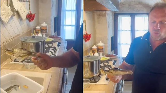 Il Ministro Lollobrigida e la ricetta del Granchio Blu: il video scatena i social