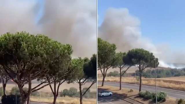 Incendio Roma, in fiamme il quartiere Papillo. Video