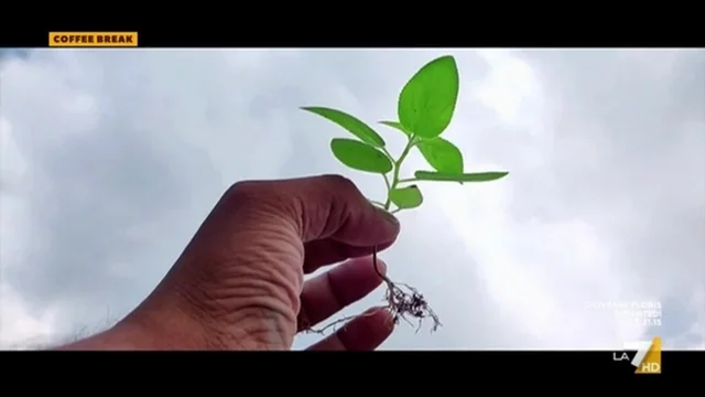Inflazione e economia 'green' ... verde speranza