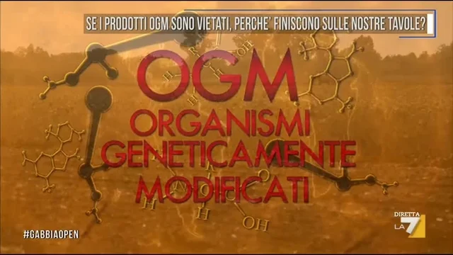Se i prodotti OGM sono vietati, perchè finiscono sulle nostre tavole?