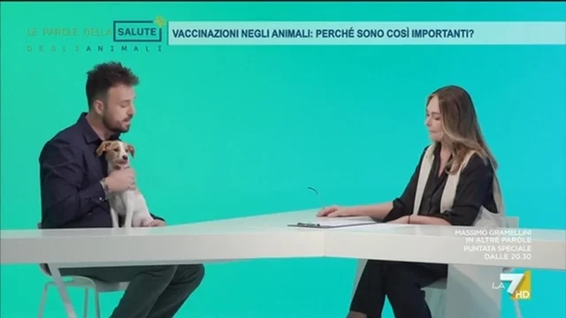 Vaccinazione animali: perchè sono così importanti