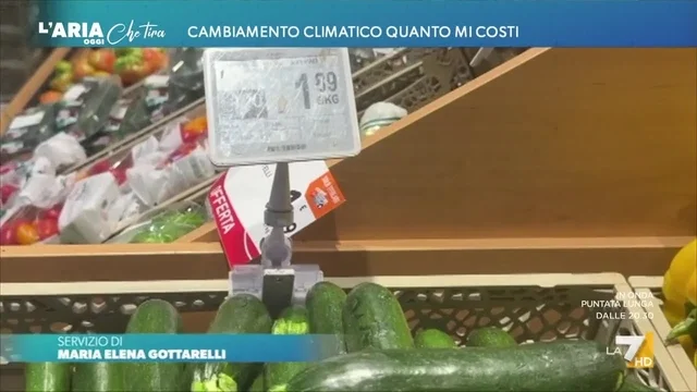 Cambiamento climatico, quanto mi costi